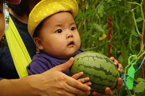 免费吃瓜群2022,年度娱乐盛宴大盘点 第2张 免费吃瓜群2022,年度娱乐盛宴大盘点 第2张